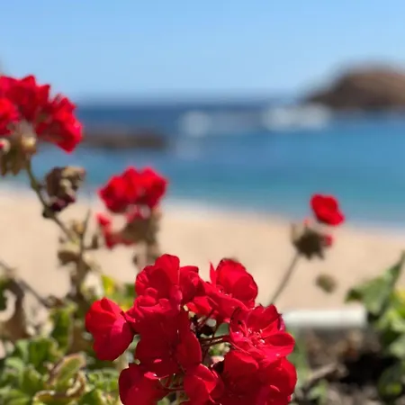 Διαμέρισμα Atico Con Vistas Al Mar A Un Paso Del Centro *