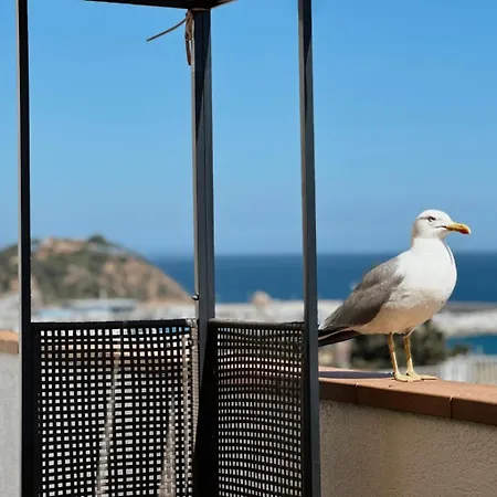 Apartment Atico Con Vistas Al Mar A Un Paso Del Centro Blanes