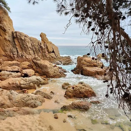 Atico Con Vistas Al Mar A Un Paso Del Centro * Blanes
